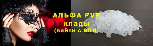 дурь Богданович